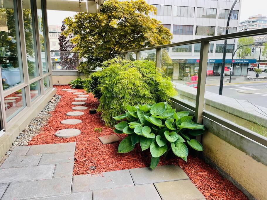 Spacious Downtown 2 Bedroom With Pool And Air Conditioning *