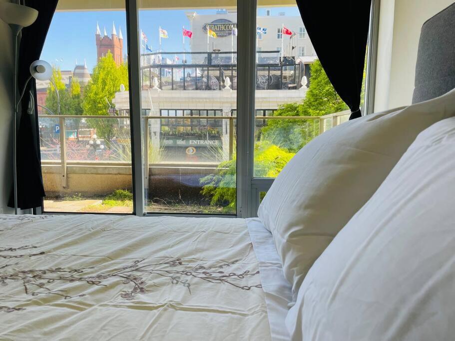Spacious Downtown 2 Bedroom With Pool And Air Conditioning Apartment *