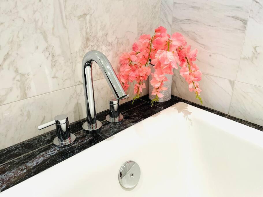 Spacious Downtown 2 Bedroom With Pool And Air Conditioning Apartment