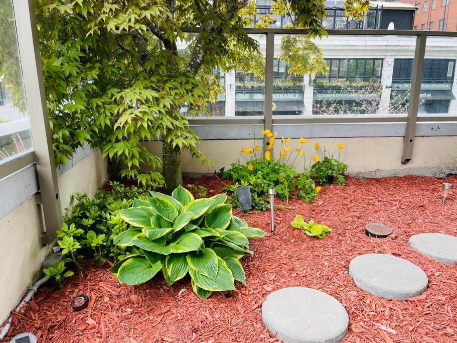 Spacious Downtown 2 Bedroom With Pool And Air Conditioning * Victoria